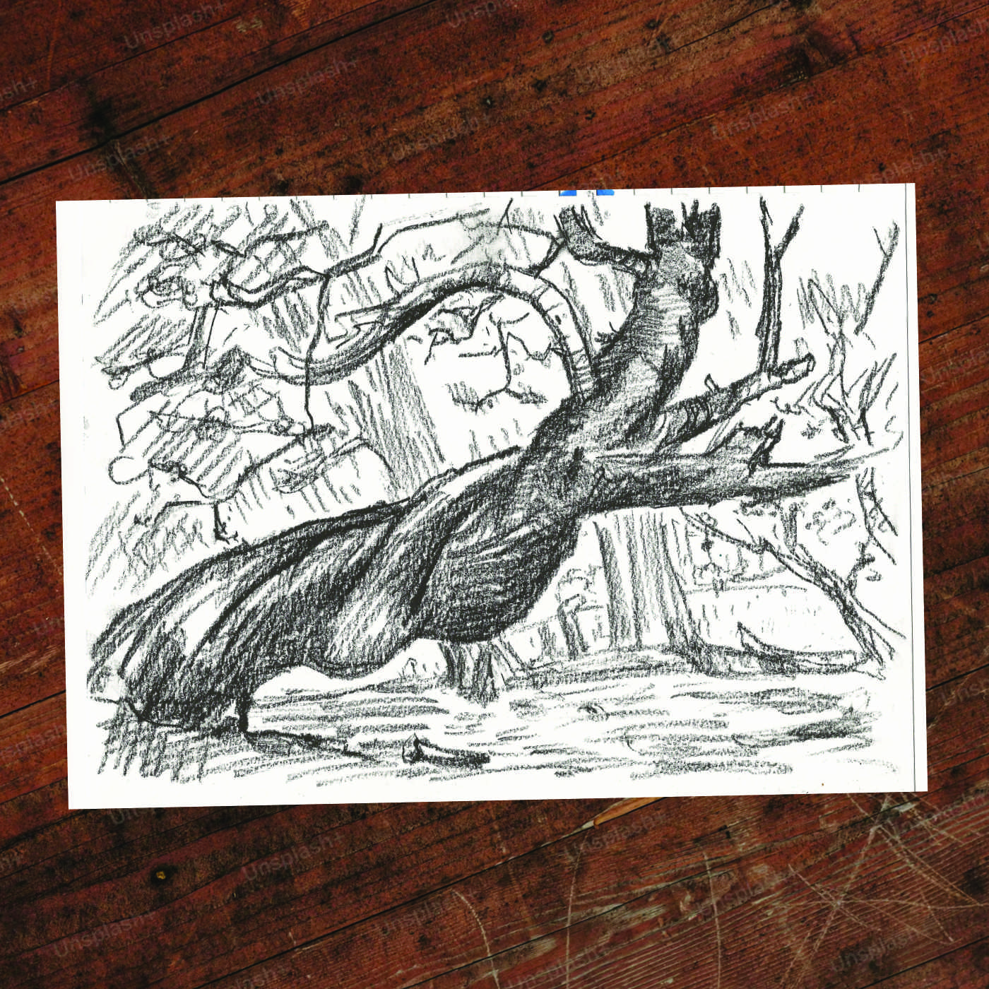 Old Growth — sketch